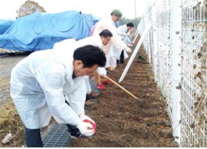 장안구 영화동의 푸른 겨울을 만듭니다.